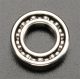 Rear Bearing