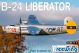 B-24 Silver PNP