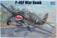 P-40F War Hawk - 1/32